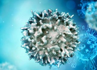 Rebalancing TGFβ1/BMP Signals Reverse T Cell Dysfunctionality During Viral Infections And Cancer