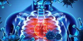 SARS-CoV-2 Infections Can Cause Cardiovascular Autonomic Dysfunction