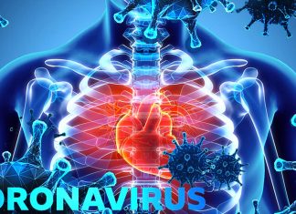SARS-CoV-2 Infections Can Cause Cardiovascular Autonomic Dysfunction