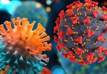SARS-CoV-2 recombinant subvariant XBB.1.5 is growing rapidly