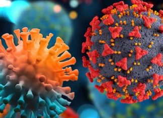 SARS-CoV-2 recombinant subvariant XBB.1.5 is growing rapidly