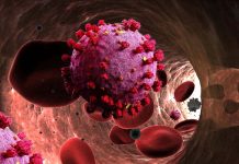 COVID-19: The accumulation of oxysterols in the erythrocytes is a biomarker for case severity