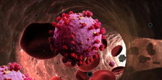 COVID-19: The accumulation of oxysterols in the erythrocytes is a biomarker for case severity