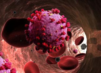COVID-19: The accumulation of oxysterols in the erythrocytes is a biomarker for case severity