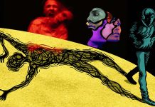 Investigating Cortical Hierarchical Organization and its Role in Psychosis