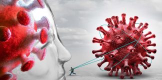 Immune Dysfunction Persists For Up To 8 Months After Initial Mild Or Moderate SARS-CoV-2 Infection