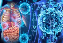 Anatomical distribution of SARS-CoV-2 during human infection
