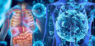 Anatomical distribution of SARS-CoV-2 during human infection