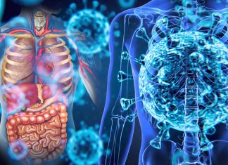 Anatomical distribution of SARS-CoV-2 during human infection