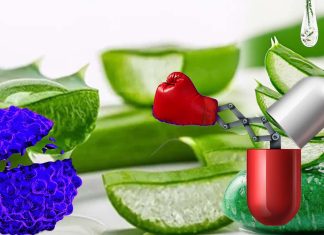 Effetti antitumorali dell’aloe-emodina