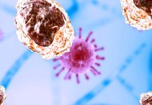COVID-19: Researchers have found an increase in monocyte levels that persists for 6-7 months