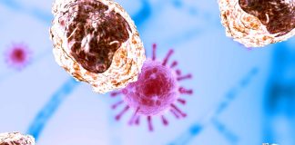 COVID-19: Researchers have found an increase in monocyte levels that persists for 6-7 months