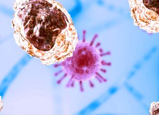COVID-19: Researchers have found an increase in monocyte levels that persists for 6-7 months