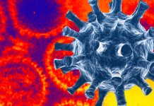 L’infezione da COVID-19 e i vaccini possono riattivare gli Herpesviridae