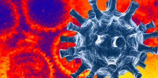 L’infezione da COVID-19 e i vaccini possono riattivare gli Herpesviridae