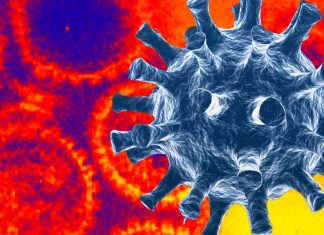 L’infezione da COVID-19 e i vaccini possono riattivare gli Herpesviridae