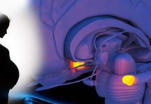 Domestic abuse against women during pregnancy can potentially have a significant impact on how the unborn baby’s brain develops