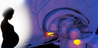 Domestic abuse against women during pregnancy can potentially have a significant impact on how the unborn baby’s brain develops