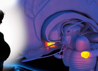 Domestic abuse against women during pregnancy can potentially have a significant impact on how the unborn baby’s brain develops