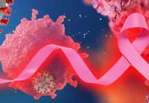SARS-CoV-2 M Protein induce the proliferation and transformation of Breast Cancer Cells
