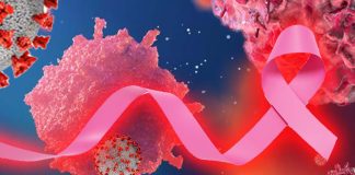 SARS-CoV-2 M Protein induce the proliferation and transformation of Breast Cancer Cells