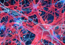 SARS-CoV-2 Infections Can Cause Cholinergic Deficiency