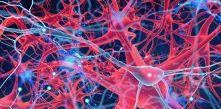 SARS-CoV-2 Infections Can Cause Cholinergic Deficiency