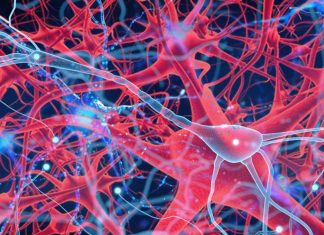 SARS-CoV-2 Infections Can Cause Cholinergic Deficiency
