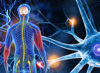 Neuropathic Pain Affects Up To 34.3 Percent Of Individuals With Long COVID