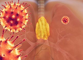 Lymphopenia: The thymus is a target of SARS-CoV-2
