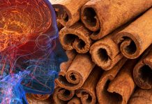 Gli effetti della cannella sulle funzioni cognitive