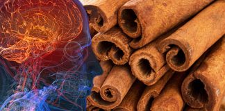 Gli effetti della cannella sulle funzioni cognitive