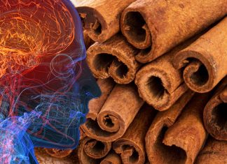 Gli effetti della cannella sulle funzioni cognitive