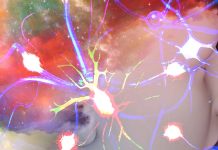 Le sostanze psichedeliche inducono neuroplasticità ?