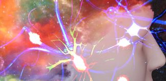Le sostanze psichedeliche inducono neuroplasticità ?