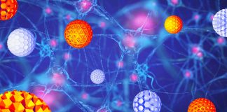Alzheimer’s disease: Peripheral administration of 6H4 antibody fragments in polymeric nanomicelles reduces various toxic Aβ species in the brain