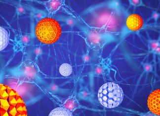 Alzheimer’s disease: Peripheral administration of 6H4 antibody fragments in polymeric nanomicelles reduces various toxic Aβ species in the brain