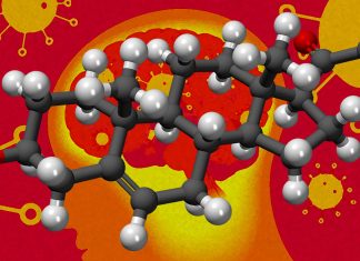 Benefici del Pregnenolone sul Sars-Cov-2