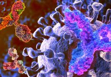 Increase in the IgG4 levels detected after repeated vaccination with the mRNA vaccines could promote unopposed SARS-CoV-2 infection and replication by suppressing natural antiviral responses
