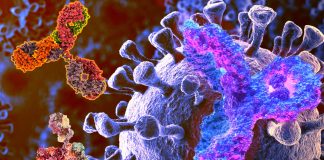 Increase in the IgG4 levels detected after repeated vaccination with the mRNA vaccines could promote unopposed SARS-CoV-2 infection and replication by suppressing natural antiviral responses