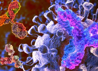 Increase in the IgG4 levels detected after repeated vaccination with the mRNA vaccines could promote unopposed SARS-CoV-2 infection and replication by suppressing natural antiviral responses