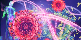 COVID-19 : chronic immune dysregulation could characterise post-acute sequelae of SARS-CoV-2 (PASC)