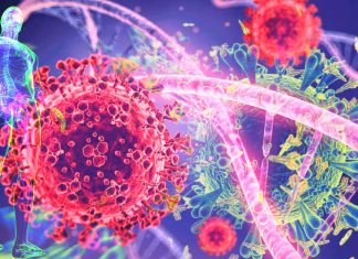 COVID-19 : chronic immune dysregulation could characterise post-acute sequelae of SARS-CoV-2 (PASC)