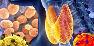 COVID-19 infection may affect thyroid function
