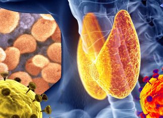 COVID-19 infection may affect thyroid function