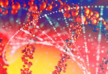 Cellular rejuvenation: how can we improve our health?