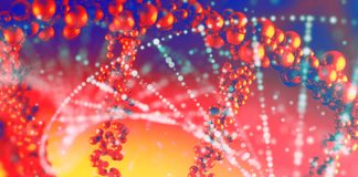 Cellular rejuvenation: how can we improve our health?