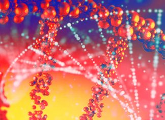 Cellular rejuvenation: how can we improve our health?