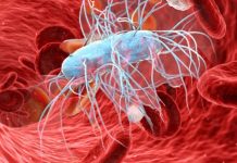 Combination of Hydrocortisone and Fludrocortisone in the Treatment of Septic Shock