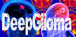 DeepGlioma: artificial-intelligence-based diagnostic screening system to streamline the molecular diagnosis of diffuse gliomas